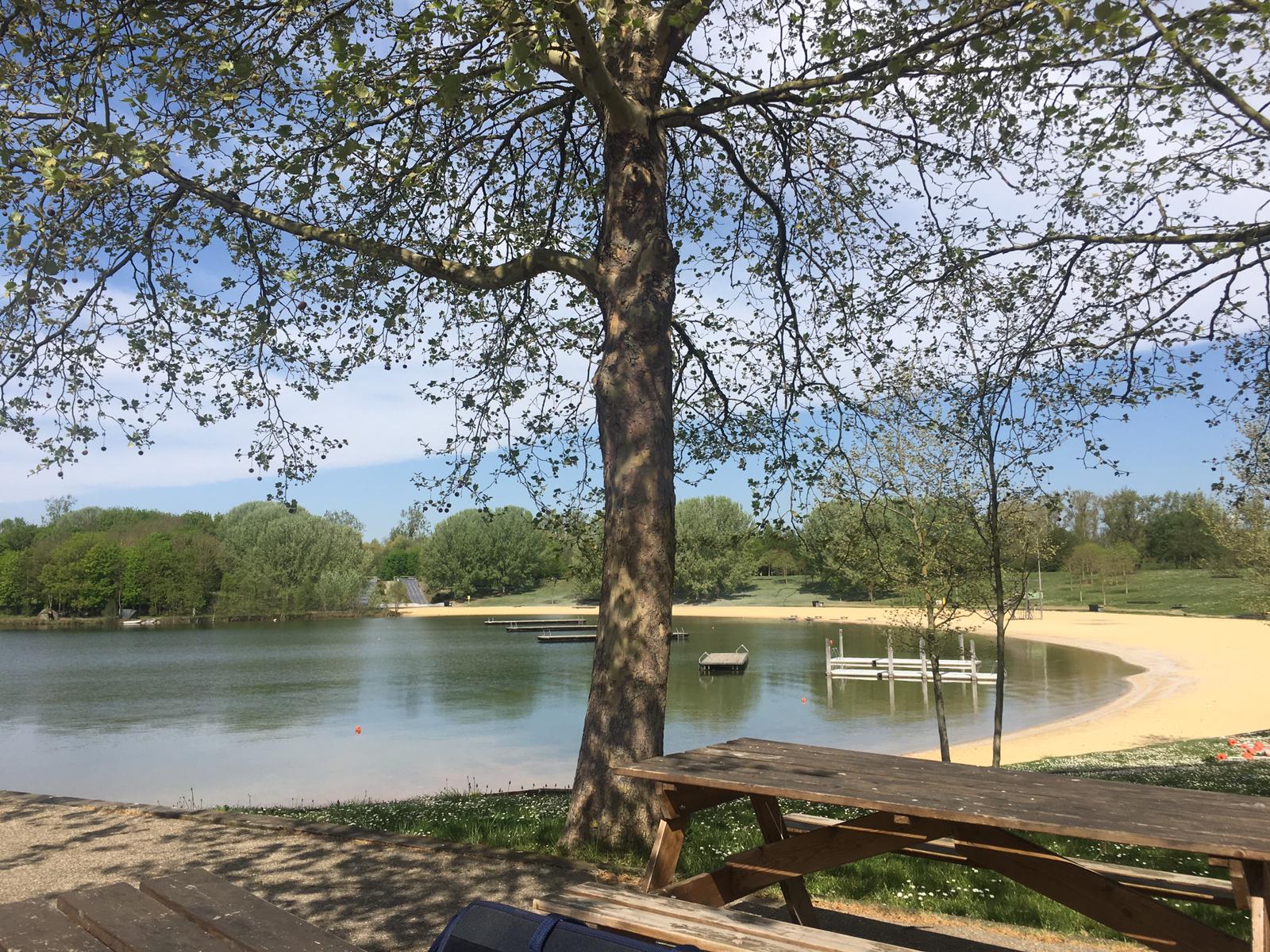 Le plan d'eau caché derrière l'arbre