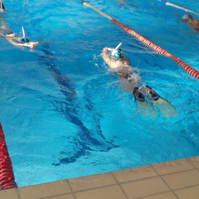 Nageuse En Palmes Pose Au Bord De La Piscine, Surface De L'eau